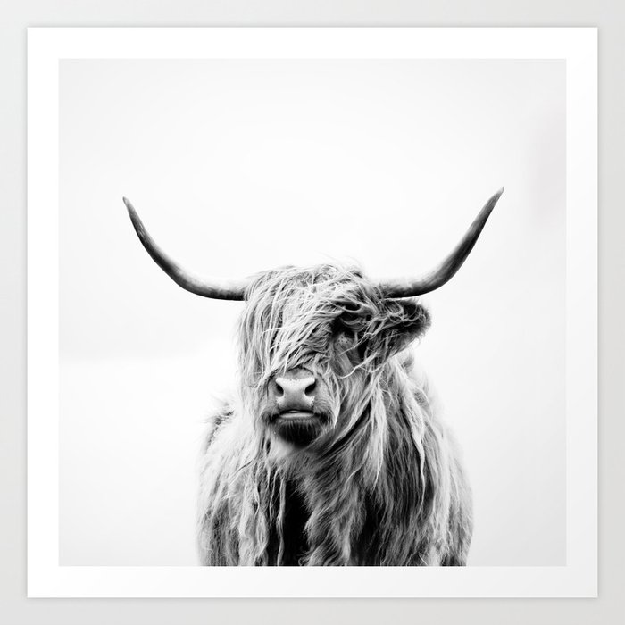 portrait of a highland cow Art Print