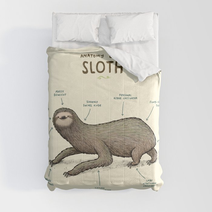 Anatomy of a Sloth Comforter