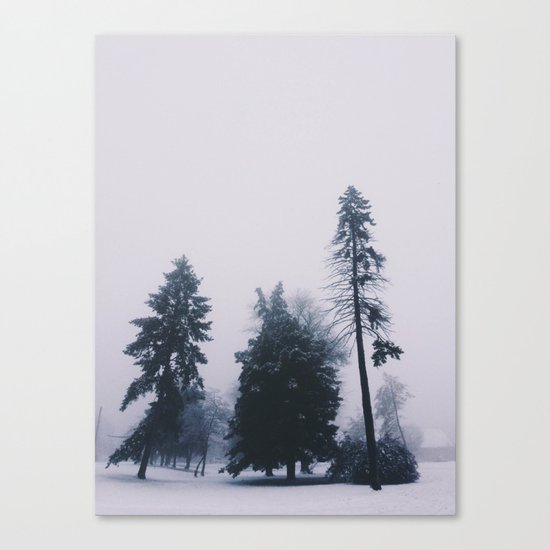 Alone in December Canvas Print