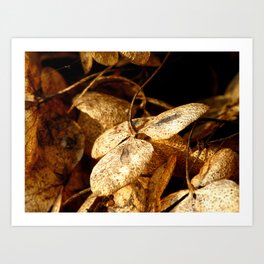 Autumn Hydrangea Art Print