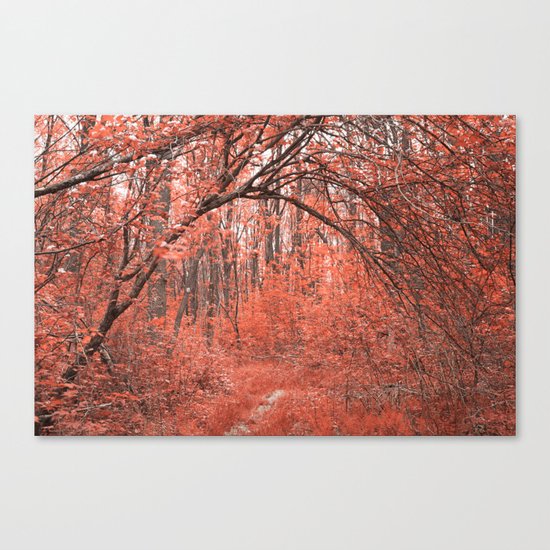 Forest Arch Trail - Salmon Pink Canvas Print