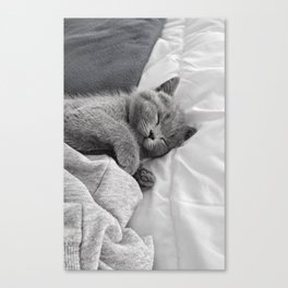 All Tucked In Canvas Print
