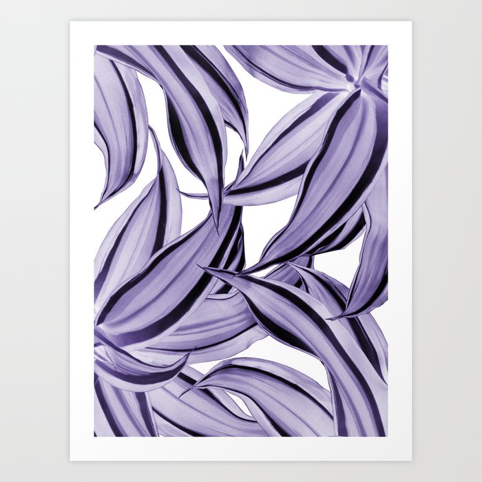 Dracaena Tropical Leaves Pattern Ultra Violet #1 #tropical #decor #art #society6 Art Print