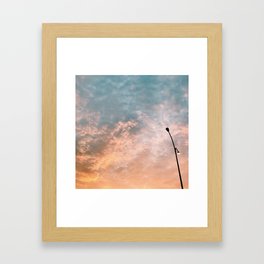 Summer's sunrise Framed Art Print