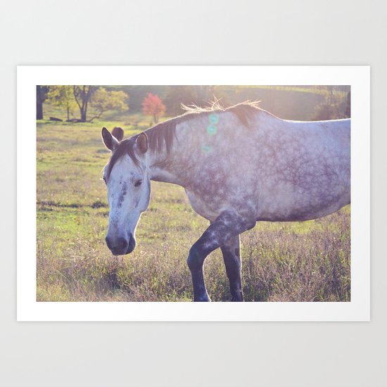Star Horse Art Print