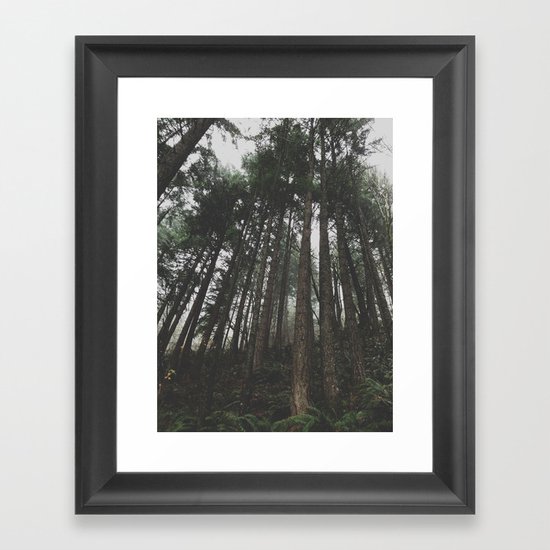 Tall Trees Framed Art Print
