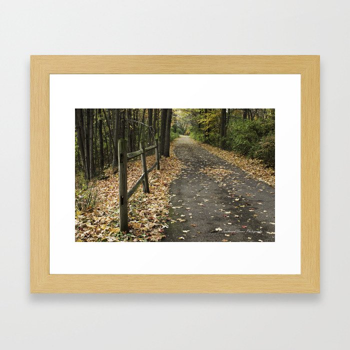 Pathway Framed Art Print