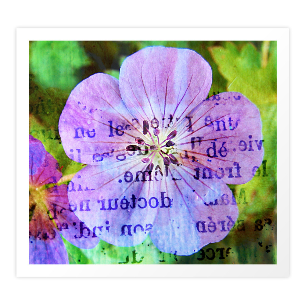 Purple Flower Art Print by angelandspot