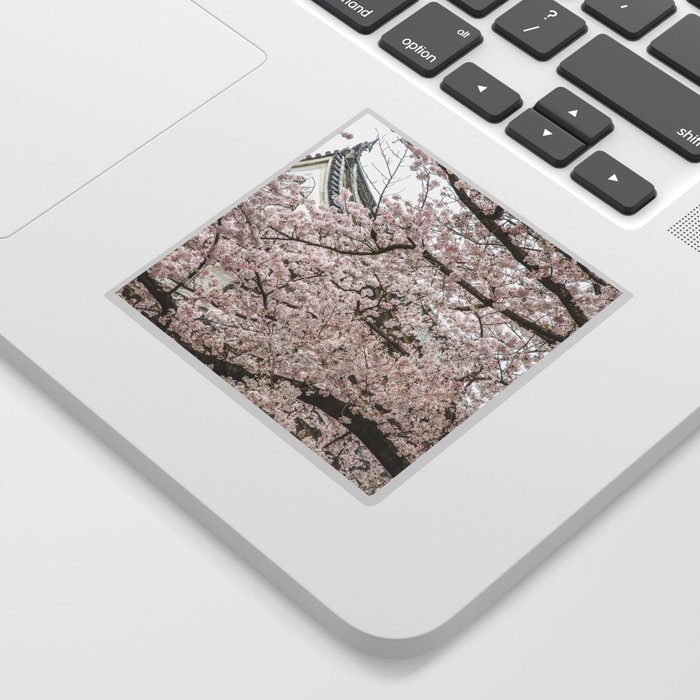 Cherry Blossoms in Osaka Japan Sticker