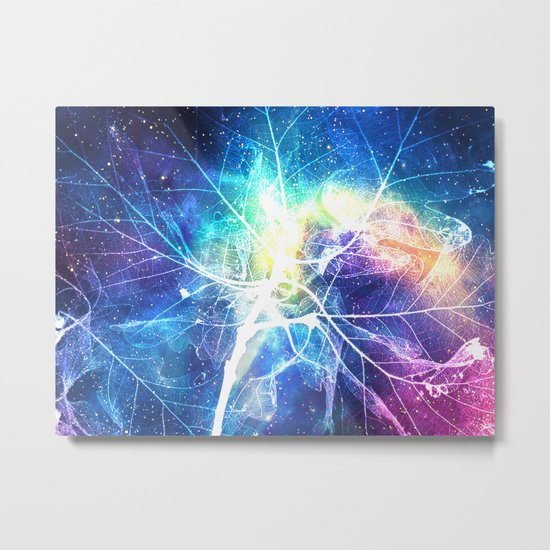 Dragonfly Metal Print