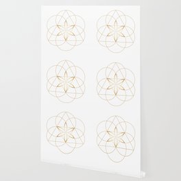 society6
