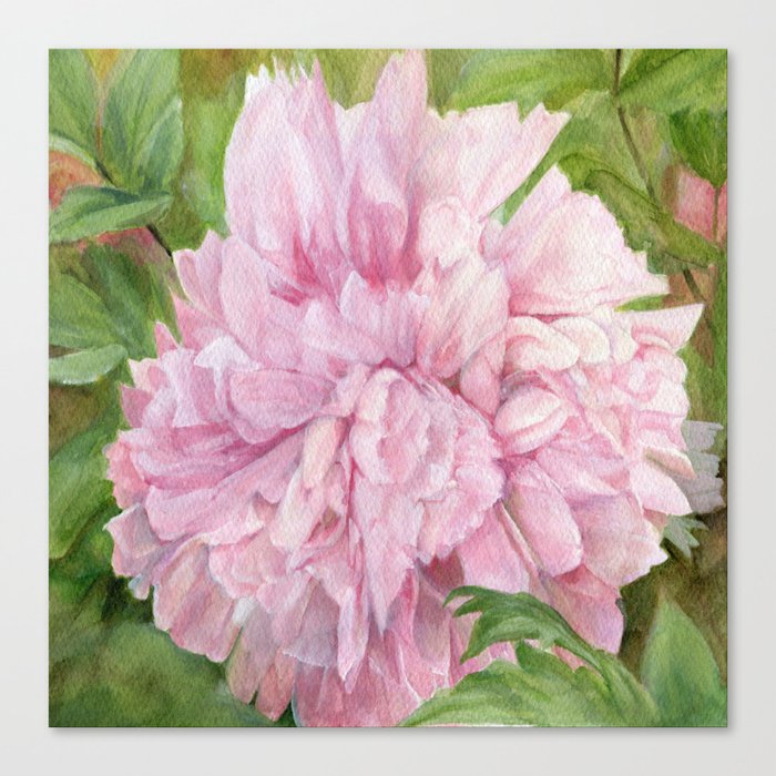 Pink Peony Floral Watercolor Original Painting Botanical Garden