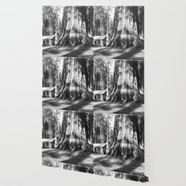 Log Cabin Wallpaper For Any Decor Style Society6