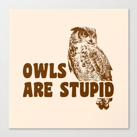 Owls Are Stupid Canvas Print