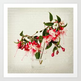 Beautiful Fuchsia flower Art Print | Botany, Homedecor, Pink, Stilllife, Beautiful, White, Color, Ornamentalplant, Wild, Digital 