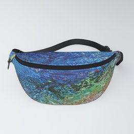 Cosmos Fanny Pack