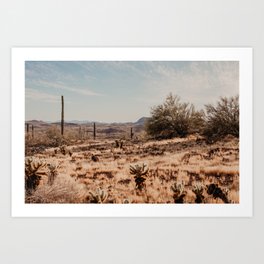 Arizona Desert | Fine Art Photography Art Print