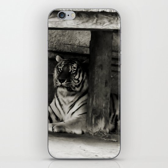 Tiger iPhone & iPod Skin