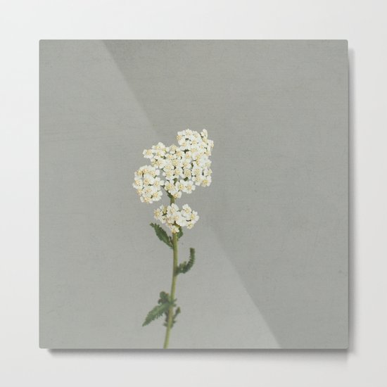 White Flowers Metal Print