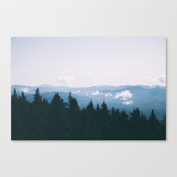 Forest VI Canvas Print