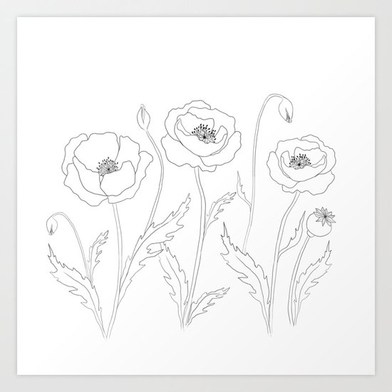 Simple Poppy Flower Floral Design Black And White Art Print By