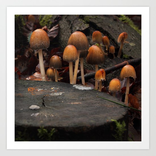 The Knights of the Round Table Art Print