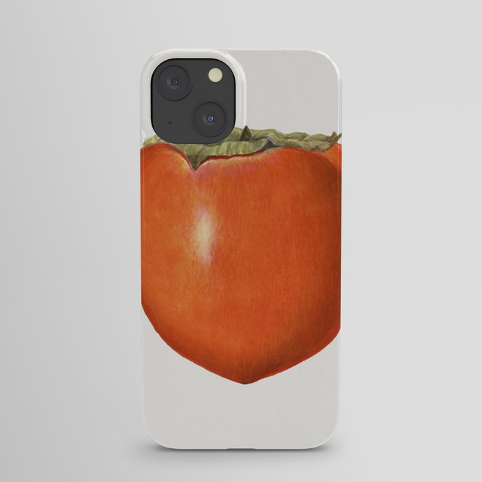 Vintage persimmon illustration. 2 iPhone Case