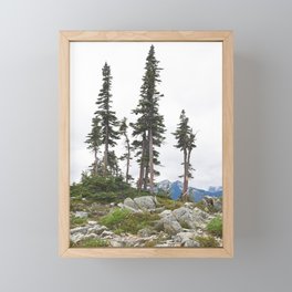 Alpine Trees Bonsai Mountain Trail Hiking Paradise Landscape Pacific Northwest Rocky Summit Framed Mini Art Print