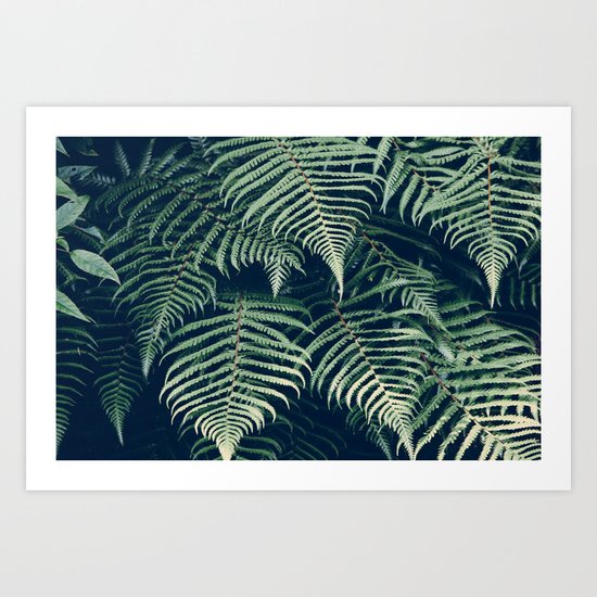 Fern Beach Art Print