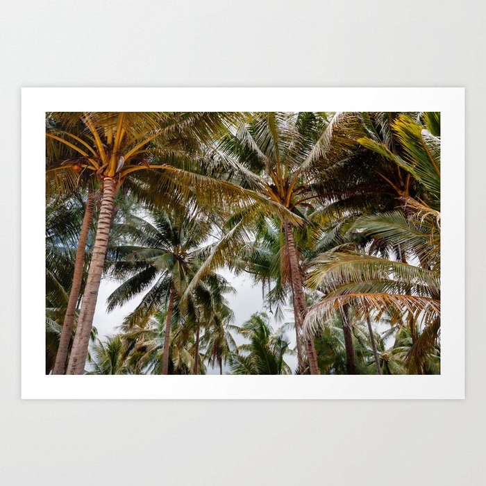 Palm trees on tropical Island of Thailand / fine art travel photography Art Print