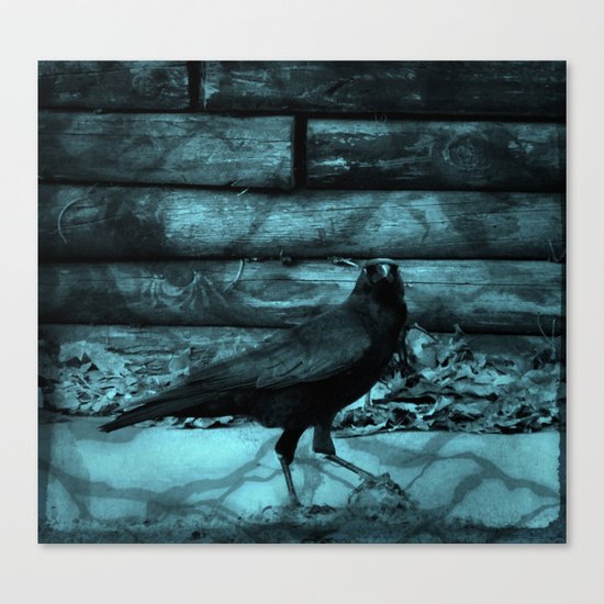 Blue Crow Shadows Canvas Print