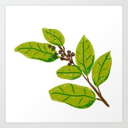 Caribbean Coffee Beans Plants Art Print
