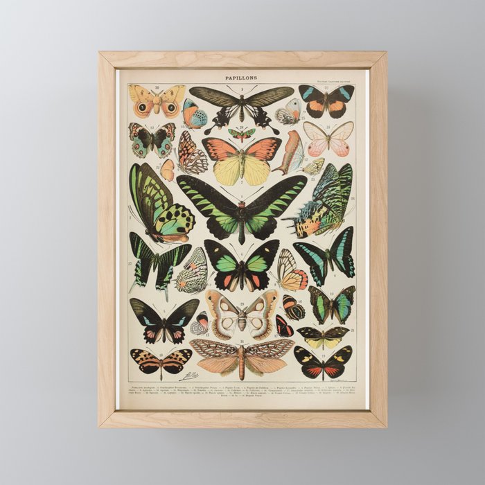 Framed Mini Art Print