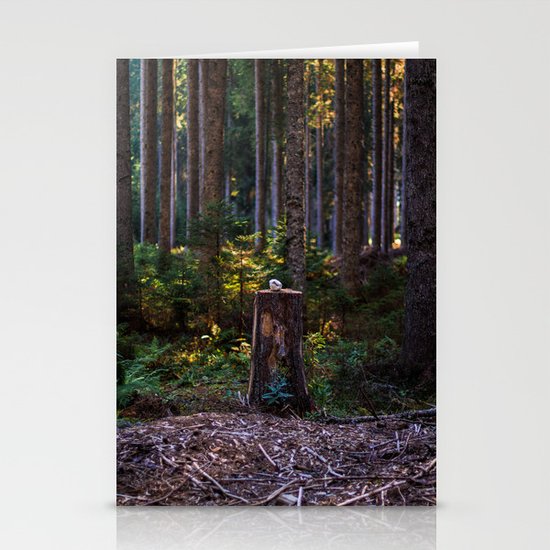 Rock Stationery Cards