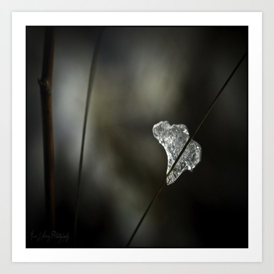 Ice of Africa Art Print