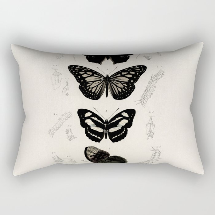 Victorian Botany Butterflies Rectangular Pillow