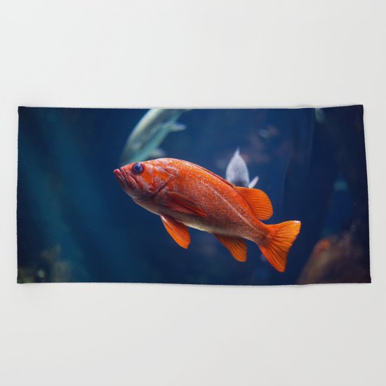 Red fish water Beach Towel