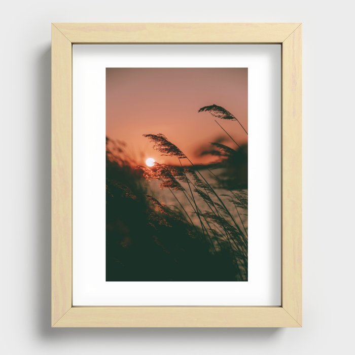 Sunset reeds Recessed Framed Print