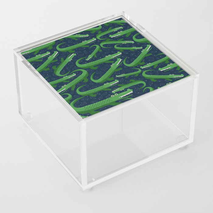 Later Alligator  Acrylic Box