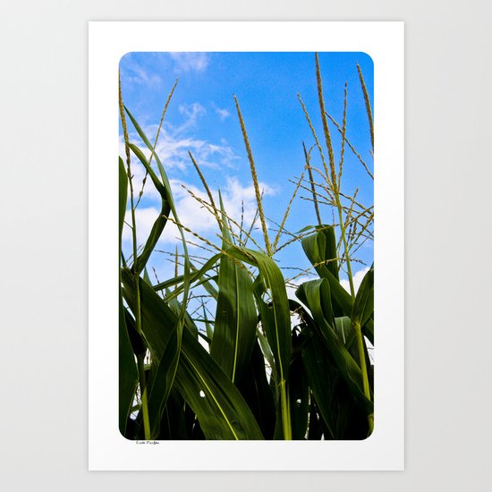 Car Food Art Print