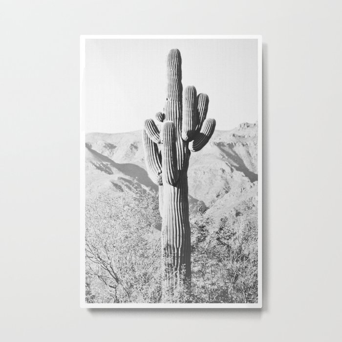 desert cactus Metal Print