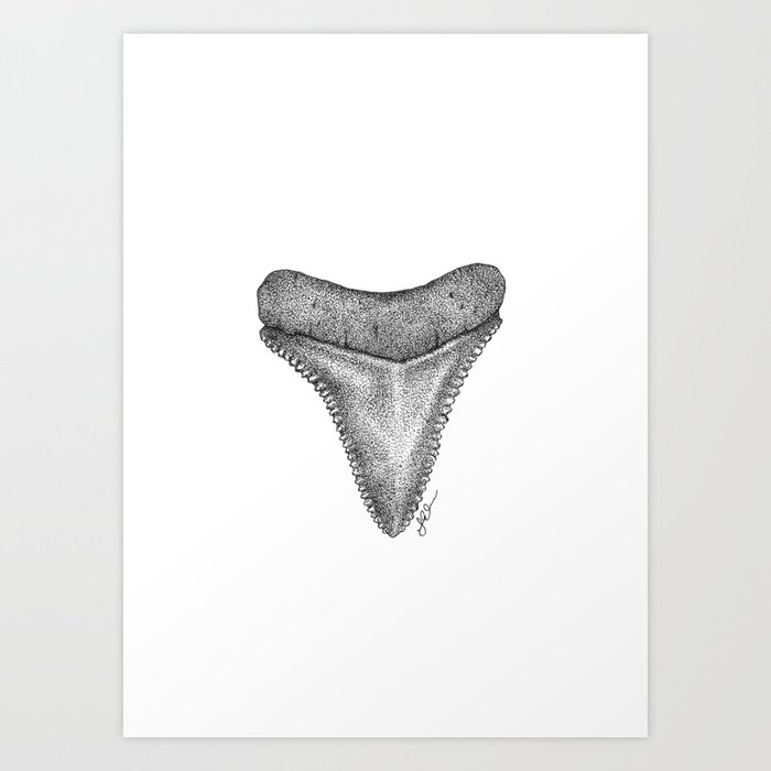 Shark Tooth Art Print