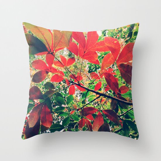 Coquelicot Shades Throw Pillow