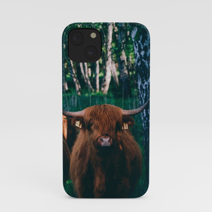Highland Cattle iPhone Case