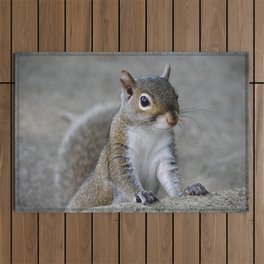 Squirrel Outdoor Rug
