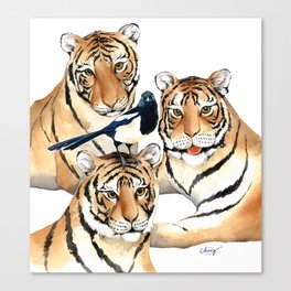 Tigers&Pica pica Canvas Print