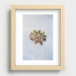 Palm Recessed Framed Print
