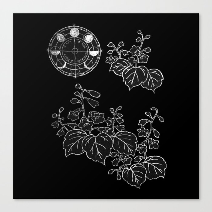 Daffodil Lunar Phase Astronomical Zodiac Chart Design Canvas Print by