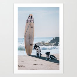 Surfing Dogs Part 1 | Whisky Point Sri Lanka | Travel Photography Art Print