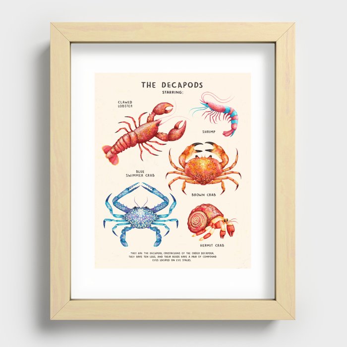 THE DECAPODS Recessed Framed Print